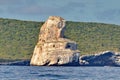 Isla Isabel off MexicoÃ¢â¬â¢s Riviera Nayarit coast.